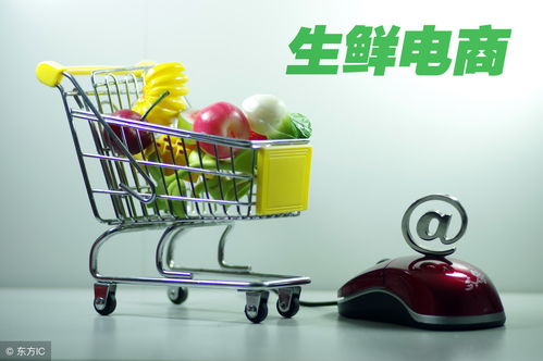 開網(wǎng)店如何辦理食品經(jīng)營許可證 流程、要求與注意事項詳解